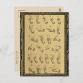 ヴィンテージ符号言語アルファベットの手のジェスチャー ポストカード (正面/裏面)