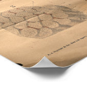 ヴィンテージ筋肉の解剖図1906 ポスター (角)