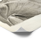 ヴィンテージ筋肉スカル解剖学プリント1716 ポスター (角)