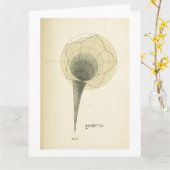 ヴィンテージ算術イラストレーショングリーティングカード カード (黄色い花)