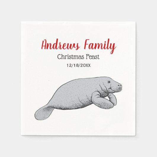 ヴィンテージ管理スケッチクリスマスクリスマス スタンダードカクテルナプキン (正面)