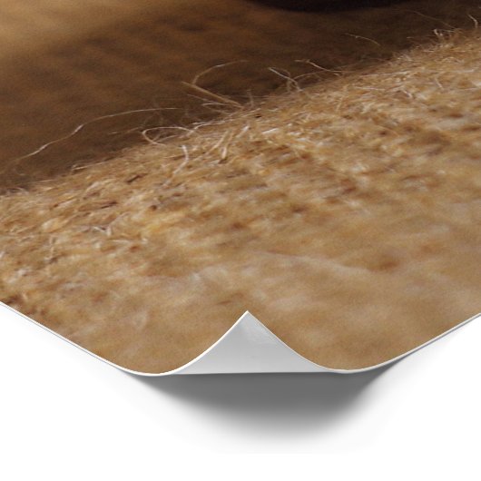 ヴィンテージ箱 ポスター (角)