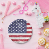 ヴィンテージ米国国旗の愛国的なアメリカ赤白青 ペーパープレート (パーティー)