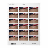 ヴィンテージ米国旗縁ど ラベル (フルシート)