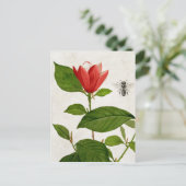 ヴィンテージ紅花とミツバチ ポストカード (スタンド正面)