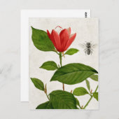 ヴィンテージ紅花とミツバチ ポストカード (正面/裏面)