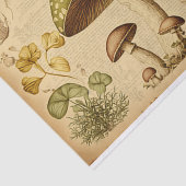 ヴィンテージ紙の切りフランスの離し 薄葉紙 (詳細)