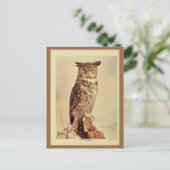 ヴィンテージ素晴らしのフクロウの色のリトー写真 ポストカード (スタンド正面)
