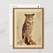 ヴィンテージ素晴らしのフクロウの色のリトー写真 ポストカード (正面/裏面)