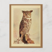 ヴィンテージ素晴らしのフクロウの色のリトー写真 ポストカード (正面)