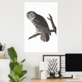 ヴィンテージ素晴らしシヌールイラストレーションプリント ポスター (ホームオフィス)