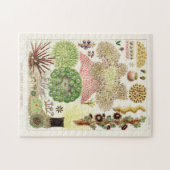 ヴィンテージ素晴らしバリアリーフのオーストラリアアネモネス ジグソーパズル (横)