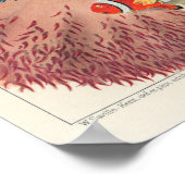 ヴィンテージ素晴らしバリアリーフアネモネスカロルフィッシュ ポスター (角)