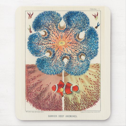 ヴィンテージ素晴らしバリアリーフアネモネスカロルフィッシュ マウスパッド (正面)