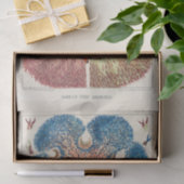 ヴィンテージ素晴らしバリアリーフアネモネスカロルフィッシュ 薄葉紙 (ギフト)