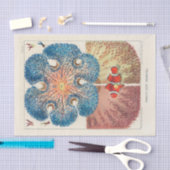 ヴィンテージ素晴らしバリアリーフアネモネスカロルフィッシュ 薄葉紙 (クラフト)