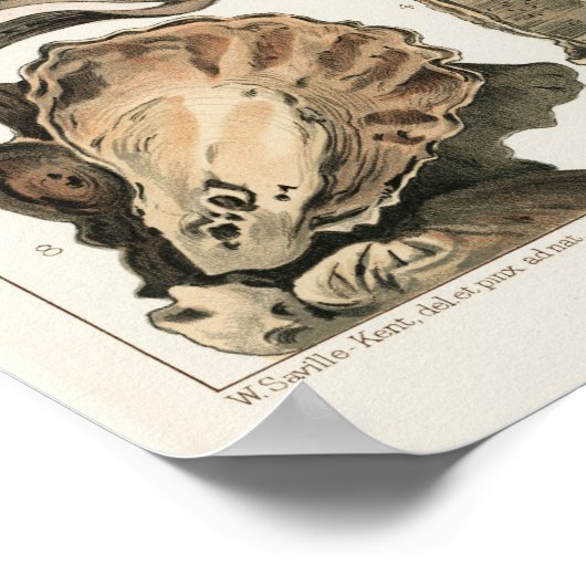 ヴィンテージ素晴らしバリアリーフオブオーストラリア牡蠣 ポスター (角)