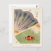 ヴィンテージ素晴らしバリアリーフオーストラリアアネモネス ポストカード (正面/裏面)