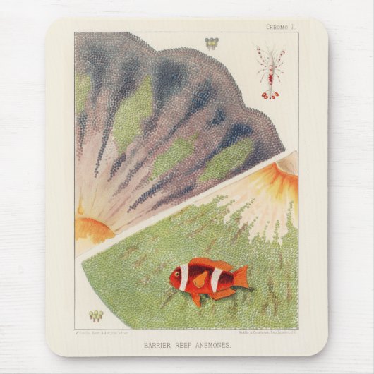 ヴィンテージ素晴らしバリアリーフオーストラリアアネモネス マウスパッド (正面)