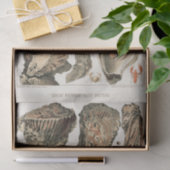 ヴィンテージ素晴らしバリアリーフオーストラリアカキ 薄葉紙 (ギフト)