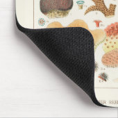 ヴィンテージ素晴らしバリアリーフオーストラリアサンゴ マウスパッド (コーナー)