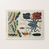 ヴィンテージ素晴らしバリアリーフ軟体動物と平獣類 ジグソーパズル (横)