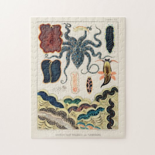 ヴィンテージ素晴らしバリアリーフ軟体動物と平獣類 ジグソーパズル (縦)