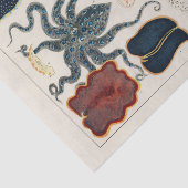 ヴィンテージ素晴らしバリアリーフ軟体動物と平獣類 薄葉紙 (詳細)