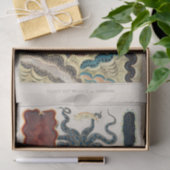 ヴィンテージ素晴らしバリアリーフ軟体動物と平獣類 薄葉紙 (ギフト)