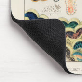 ヴィンテージ素晴らしバリアリーフ軟体動物群とプラナリアン マウスパッド (コーナー)