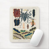 ヴィンテージ素晴らしバリアリーフ軟体動物群とプラナリアン マウスパッド (マウス)