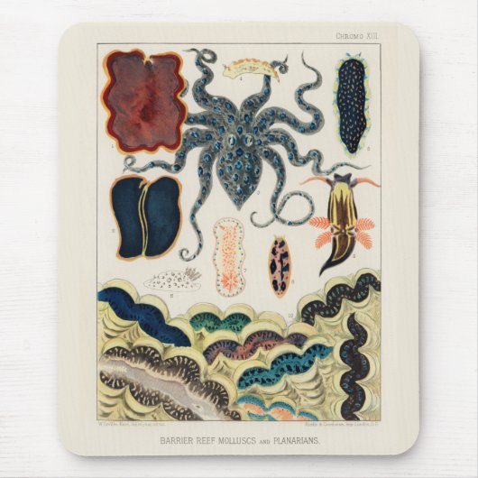 ヴィンテージ素晴らしバリアリーフ軟体動物群とプラナリアン マウスパッド (正面)