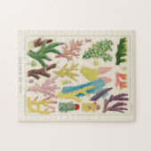 ヴィンテージ素晴らしバリアリーフ・オブ・オーストラリア・サンゴ ジグソーパズル (横)