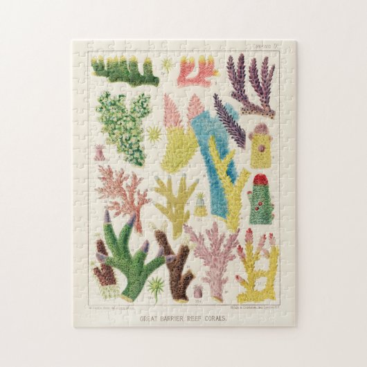 ヴィンテージ素晴らしバリアリーフ・オブ・オーストラリア・サンゴ ジグソーパズル (縦)