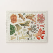 ヴィンテージ素晴らしバリアリーフ・オブ・オーストラリア・サンゴ ジグソーパズル (横)