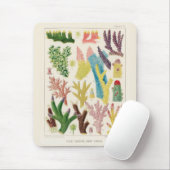 ヴィンテージ素晴らしバリアリーフ・オブ・オーストラリア・サンゴ マウスパッド (マウス)