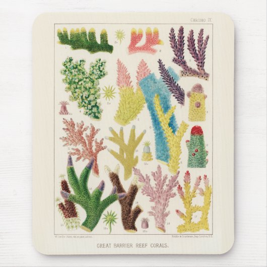 ヴィンテージ素晴らしバリアリーフ・オブ・オーストラリア・サンゴ マウスパッド (正面)