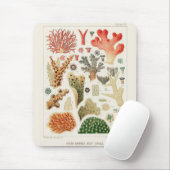ヴィンテージ素晴らしバリアリーフ・オブ・オーストラリア・サンゴ マウスパッド (マウス)