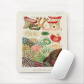 ヴィンテージ素晴らしバリアリーフ・オブ・オーストラリア・サンゴ マウスパッド (マウス)