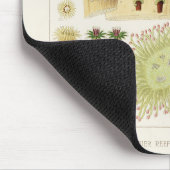 ヴィンテージ素晴らしバリアリーフ・オブ・オーストラリア・サンゴ マウスパッド (コーナー)