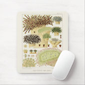 ヴィンテージ素晴らしバリアリーフ・オブ・オーストラリア・サンゴ マウスパッド (マウス)
