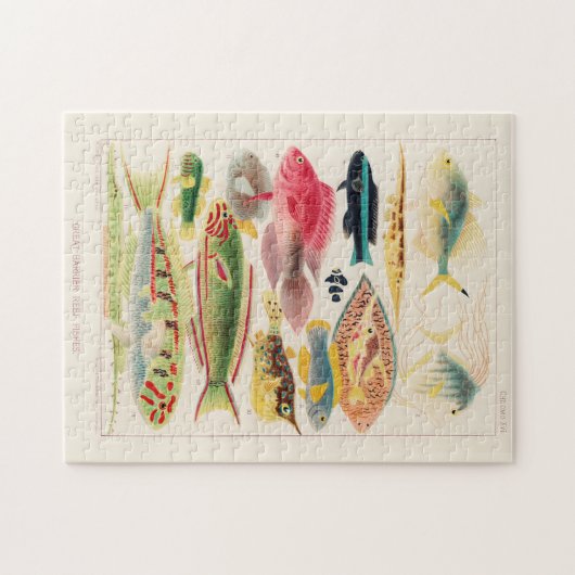 ヴィンテージ素晴らしバリアリーフ ジグソーパズル (横)