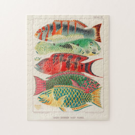 ヴィンテージ素晴らしバリアリーフ ジグソーパズル (縦)