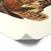 ヴィンテージ素晴らし角フクロウスケッチ ポスター (角)