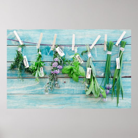 ヴィンテージ素朴なターコイズの壁とハーブ ポスター (正面)