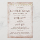 ヴィンテージ素朴の水色ロマンチックなストリングライト プログラム (正面)