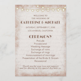 ヴィンテージ素朴の水色ロマンチックなストリングライト プログラム