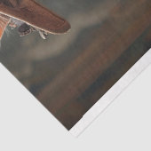 ヴィンテージ素朴の着替え 薄葉紙 (詳細)