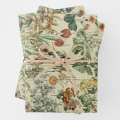 ヴィンテージ素朴エレガント植物学 ラッピングペーパーシート (インサイチュ)