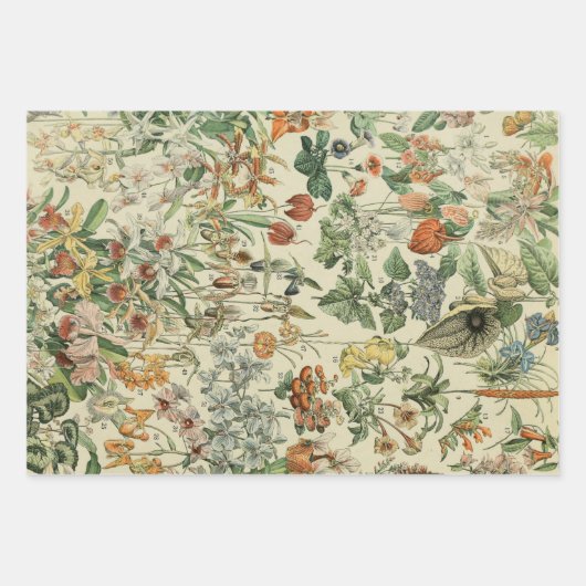 ヴィンテージ素朴エレガント植物学 ラッピングペーパーシート (正面)